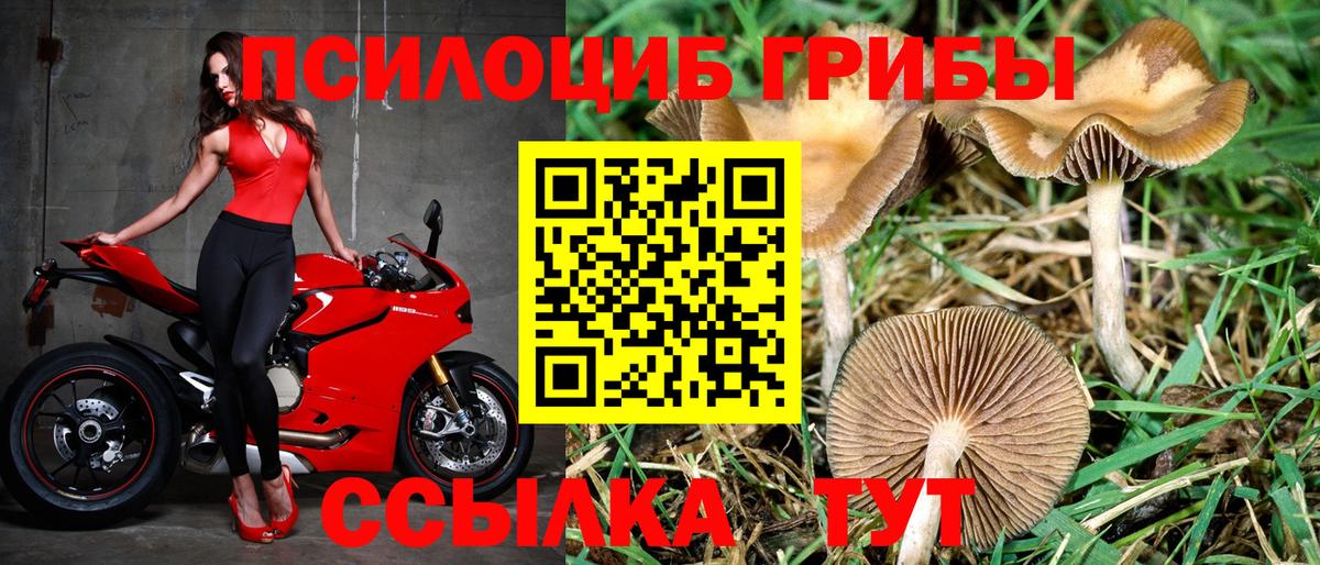 Галлюциногенные грибы Magic Shrooms Лабинск